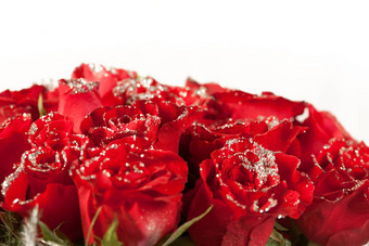 红色的玫瑰花闪耀粒子