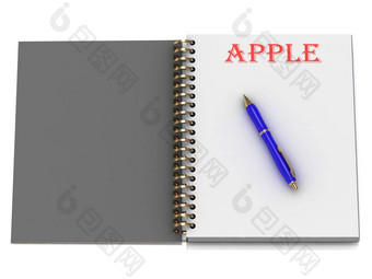 苹果词笔记本页面