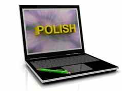 波兰的消息移动PC屏幕
