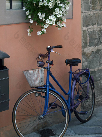 孤独的蓝色的自行车卢卡