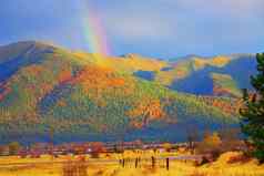 蒙大拿摘要黄金彩虹黄色的美洲落叶松树山