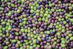 新收集橄榄健康食物市场