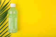 绿色有机排毒柠檬水黄色的背景复制空间装饰棕榈叶