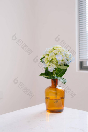 美丽的春天花花瓶窗口背景