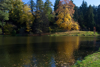 美丽的秋天景观色彩斑斓的树池塘