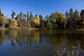 美丽的秋天景<strong>观色</strong>彩斑斓的树池塘
