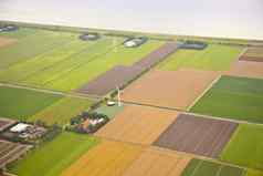 农场景观风车荷兰