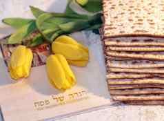 快乐的春天节日犹太人假期逾越节