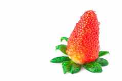 大多汁的红色的成熟的草莓水滴孤立的whi