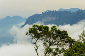 树山