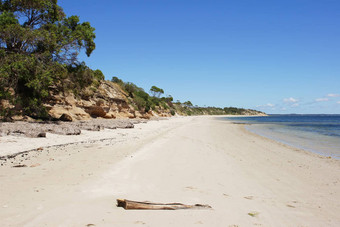 Baudin海滩澳大利亚