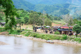 大象村北部泰国