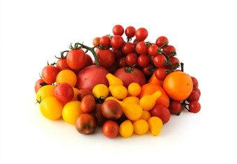 集团番茄品种颜色白色后台