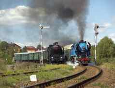 蒸汽火车克鲁帕站蒸汽机车被称为鹦鹉