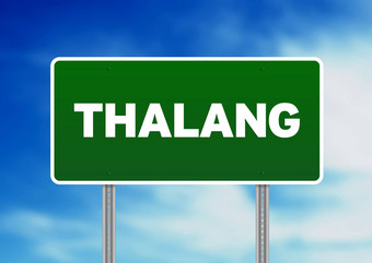 绿色路标志thalang泰国