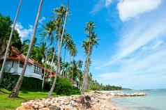 美丽的房子棕榈树海滩