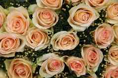 苍白的粉红色的婚礼玫瑰