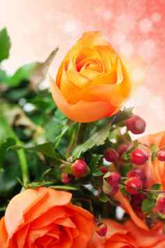 花束色彩斑斓的玫瑰散景