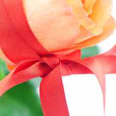 美丽的橙色rosewith红色的丝带孤立的白色