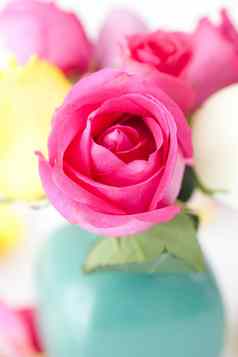 花束色彩斑斓的玫瑰花瓶花瓣