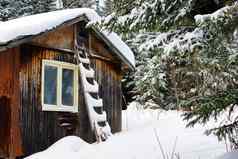 木小屋覆盖雪