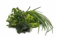 新鲜的绿色草欧芹莳萝洋葱草本植物混合