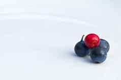 蔓越莓蓝色的浆果白色板