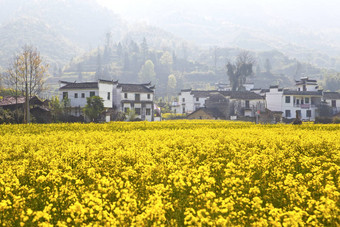 农村景观wuyuan江西省中国