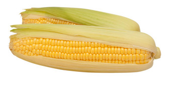玉米玉米穗轴