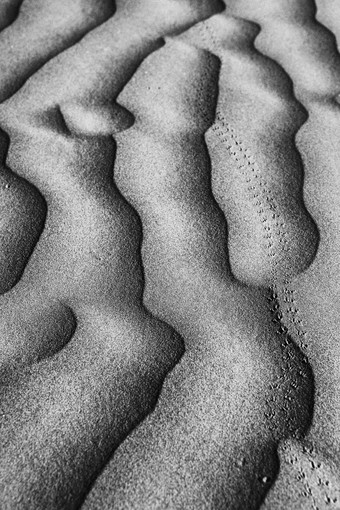 美丽的沙子沙丘形成