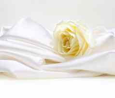 玫瑰白色丝绸背景