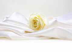 玫瑰白色丝绸背景