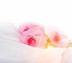 粉红色的玫瑰白色丝绸