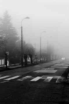 黑暗路雾焦点人行横道汽车背景