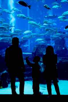 巨大的水族馆酒店亚特兰提斯迪拜棕榈岛屿