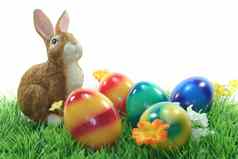 复活节兔子鸡蛋草坪上