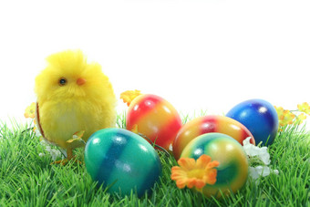 复活节鸡蛋小鸡草地