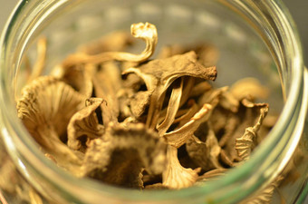 <strong>干</strong>chanterelles