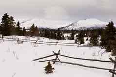 风景优美的育空河加拿大冬天山牧场栅栏
