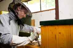 养蜂人工作养蜂场持有框架蜂窝