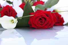 花束新鲜的红色的玫瑰阿鲁姆百合
