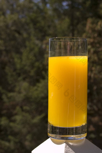 新鲜的squeesed橙色汁玻璃沐浴阳光