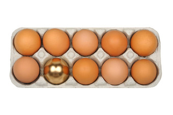 鸡蛋金蛋