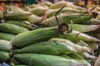 玉米显示农民市场
