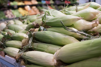 玉米显示农民市场