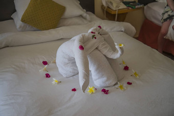 有趣的形状床上大象