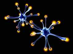互动神经元细胞