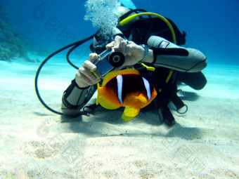 潜水员摄影师海葵鱼底热带海