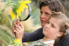 妈妈。女儿检查向日葵