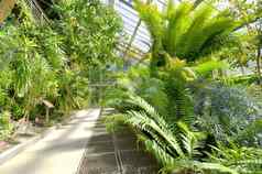 热带植物温室植物花园马德里西班牙